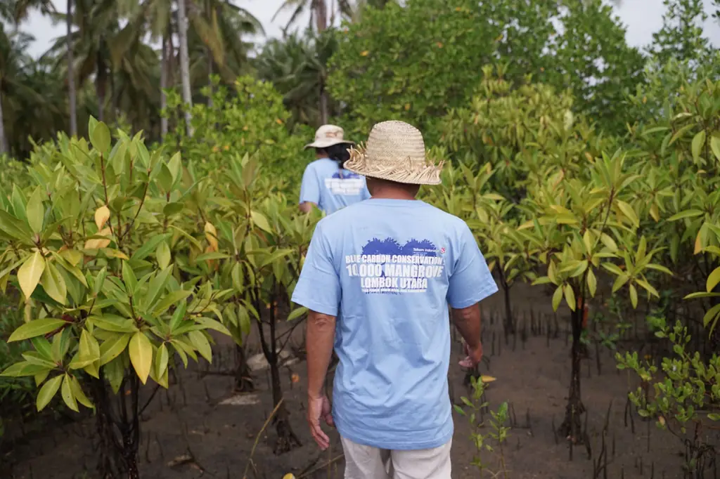 Telkom Dukung Restorasi Pesisir Lombok Utara